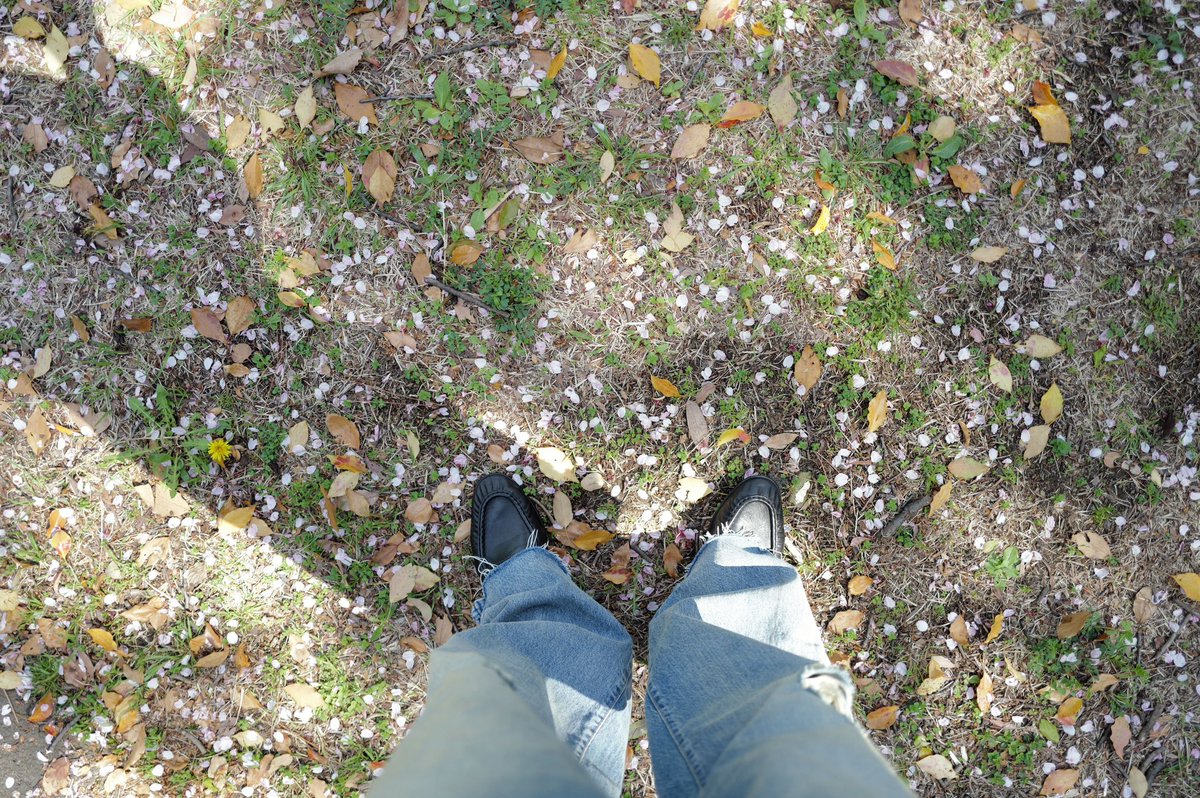 동글이 tweet media