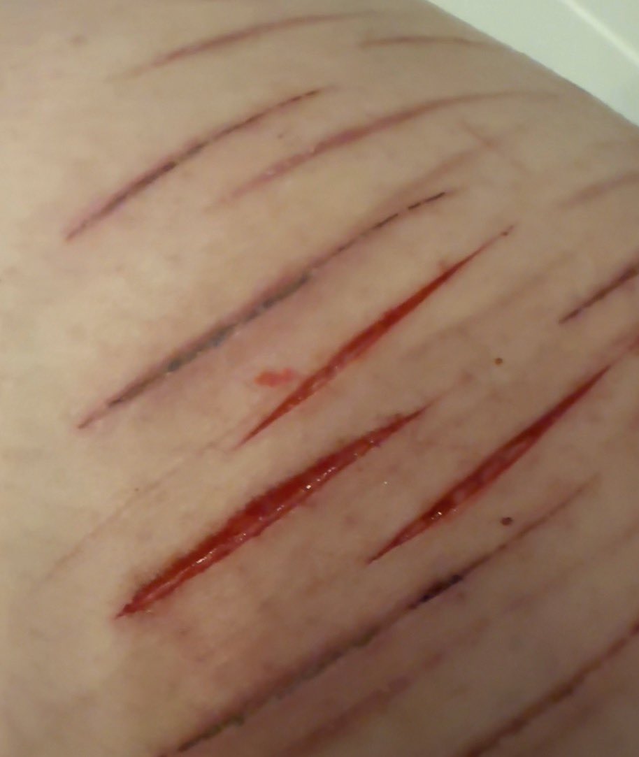 . ˗ˏˋ lapin ⭑ ୭ ˚ . tweet media