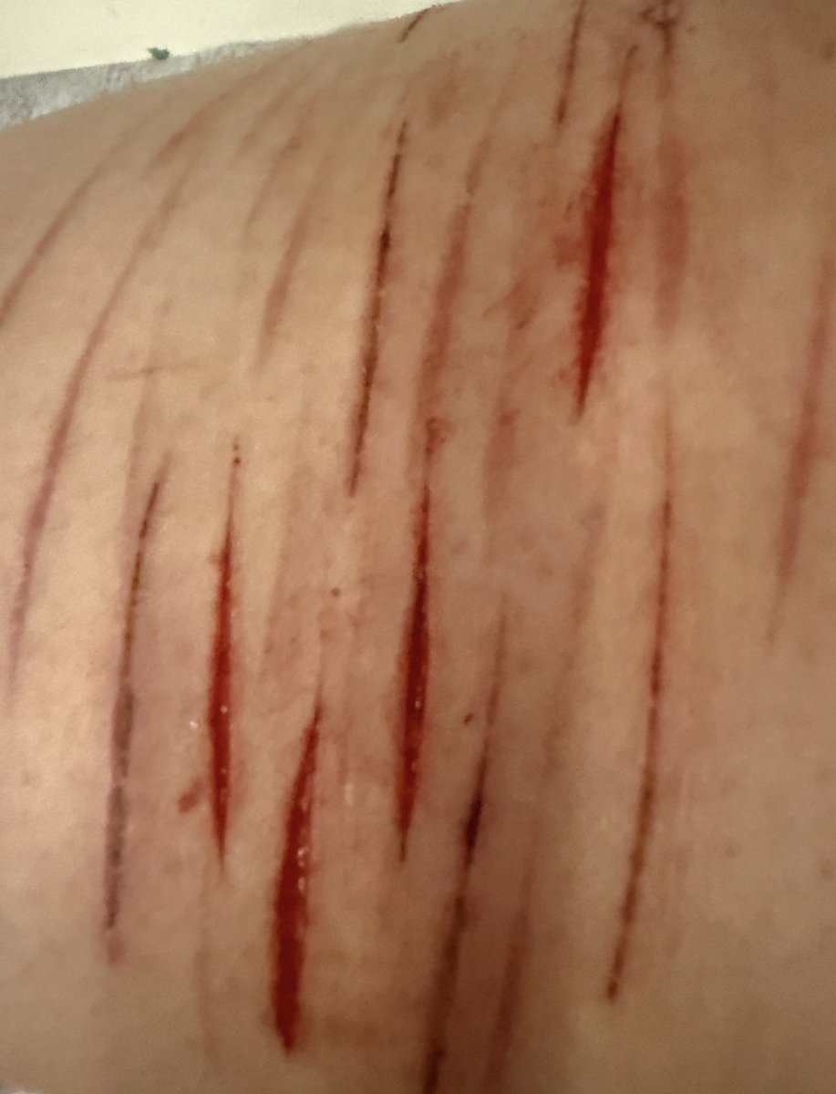 . ˗ˏˋ lapin ⭑ ୭ ˚ . tweet media