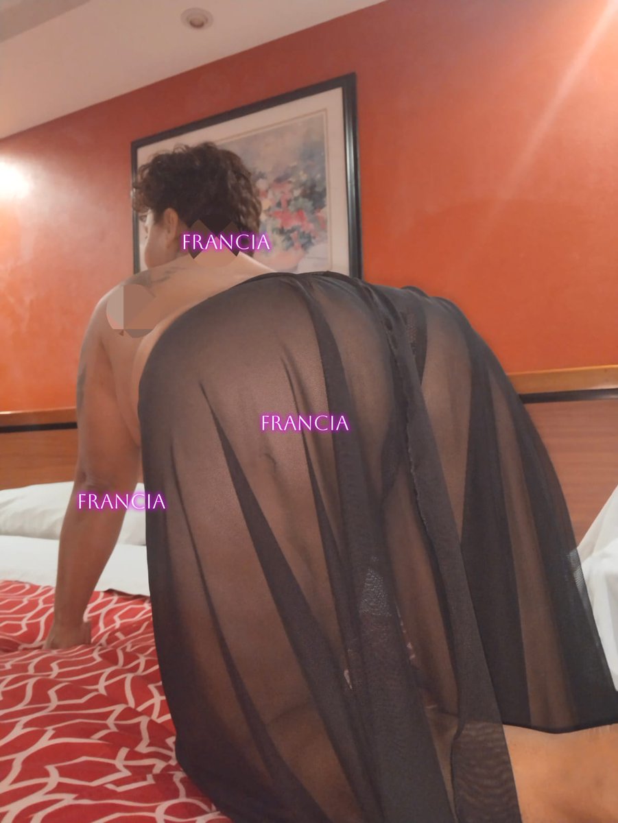 CABALLO VIEJO tweet media