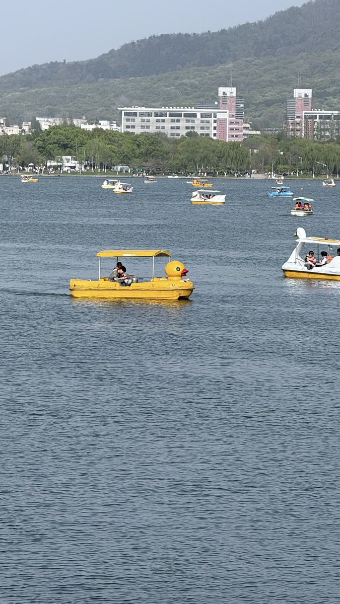 没好生活 tweet media