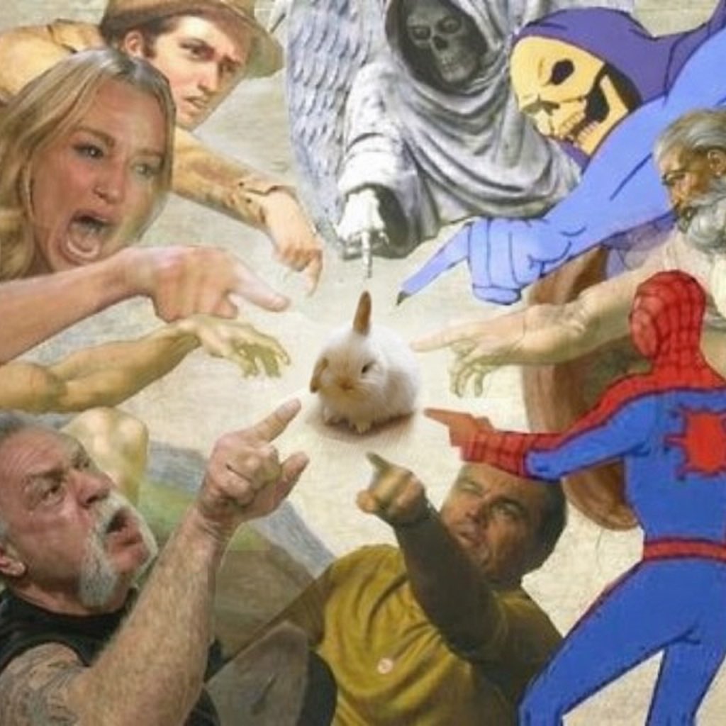 Why you should have a rabbit tweet media