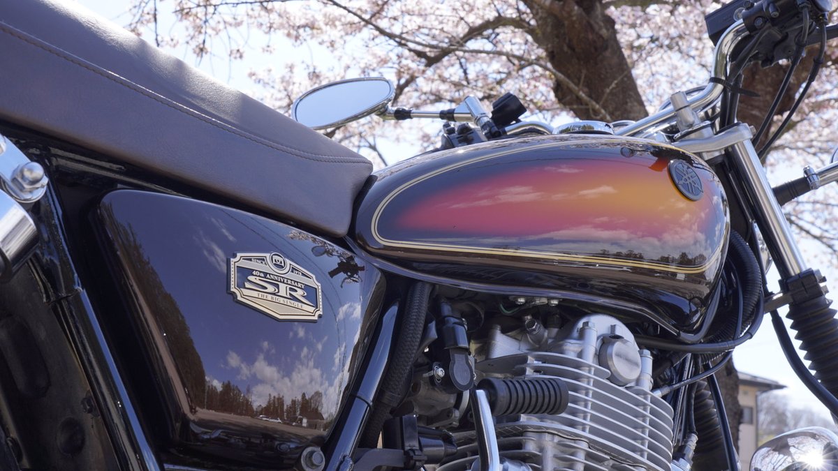 spriterider01's tweet photo. 賀茂神社も満開でした🌸
 #賀茂神社
 #仙台の桜 
 #SR40040thAnniversaryEdition
 #SR400 https://t.co/MjqzO77KC6