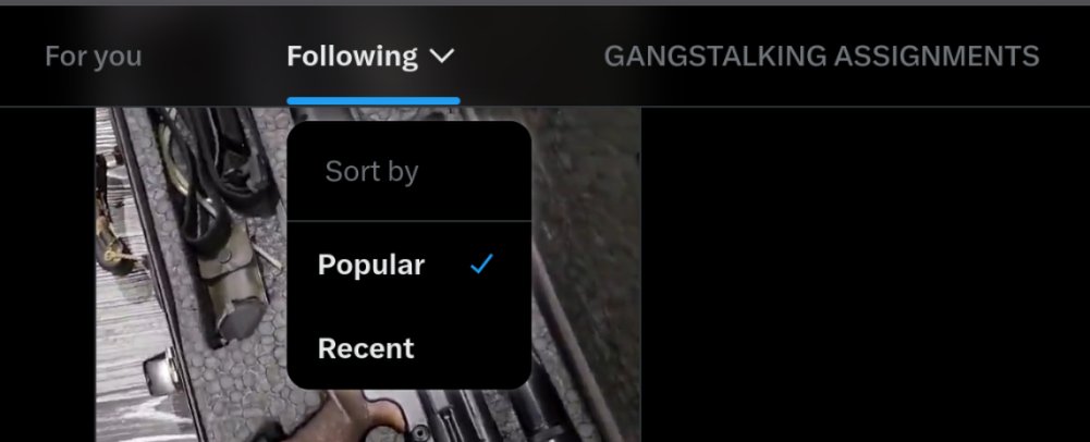 a good kitty tweet media