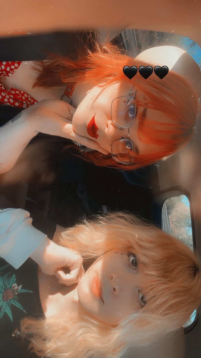 hazel spindareal🐾 tweet media