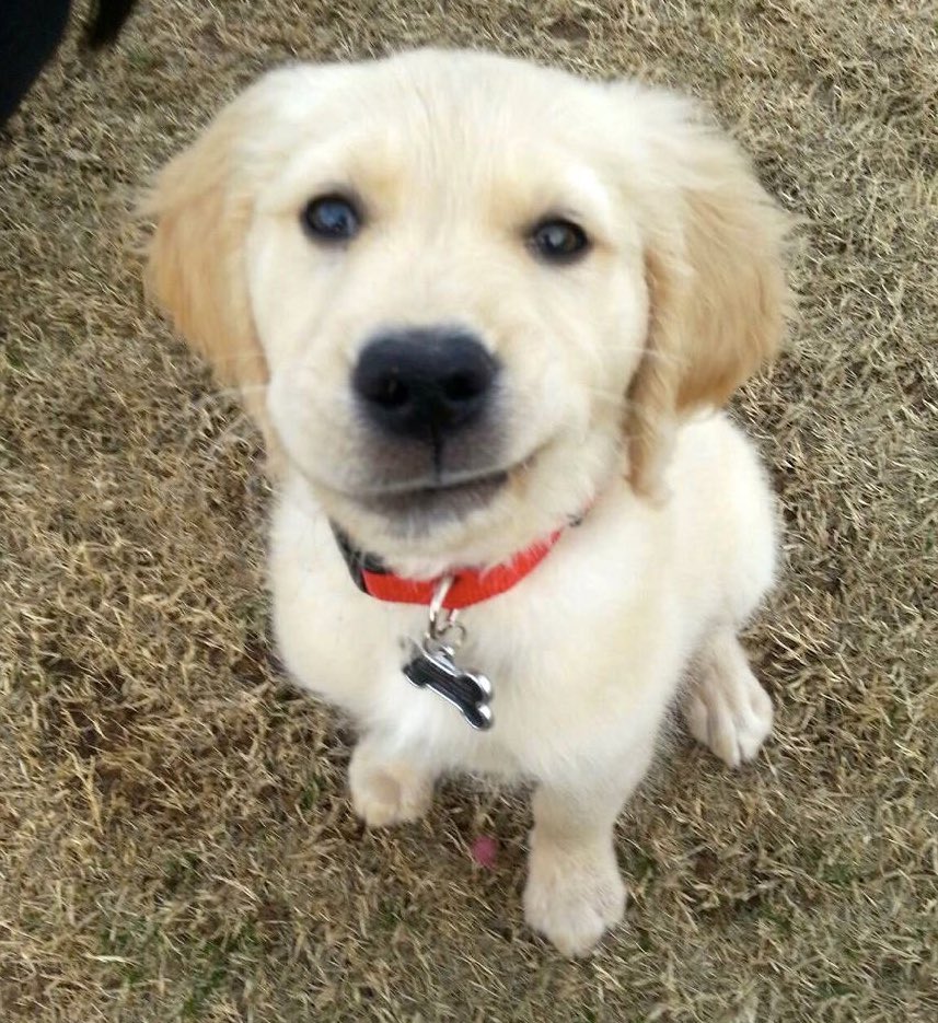 †𝔥𝔬𝔯𝔯𝔬𝔯༉ tweet media