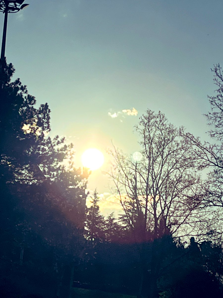 Özlem FIRAT tweet media