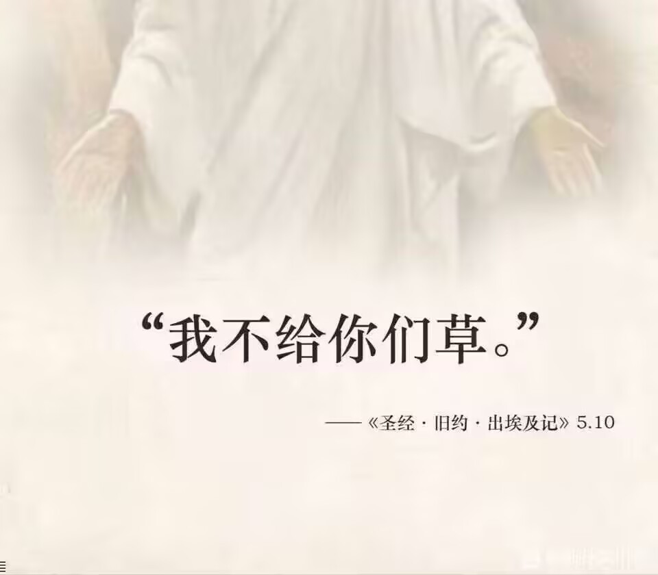 ⚜️✡ Léo ✡⚜️ tweet media