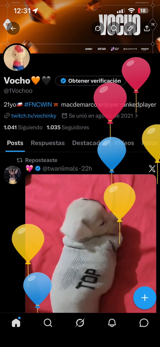 Vocho🧡🖤 tweet media