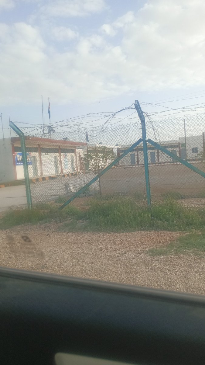 عامر الدهيثم tweet media