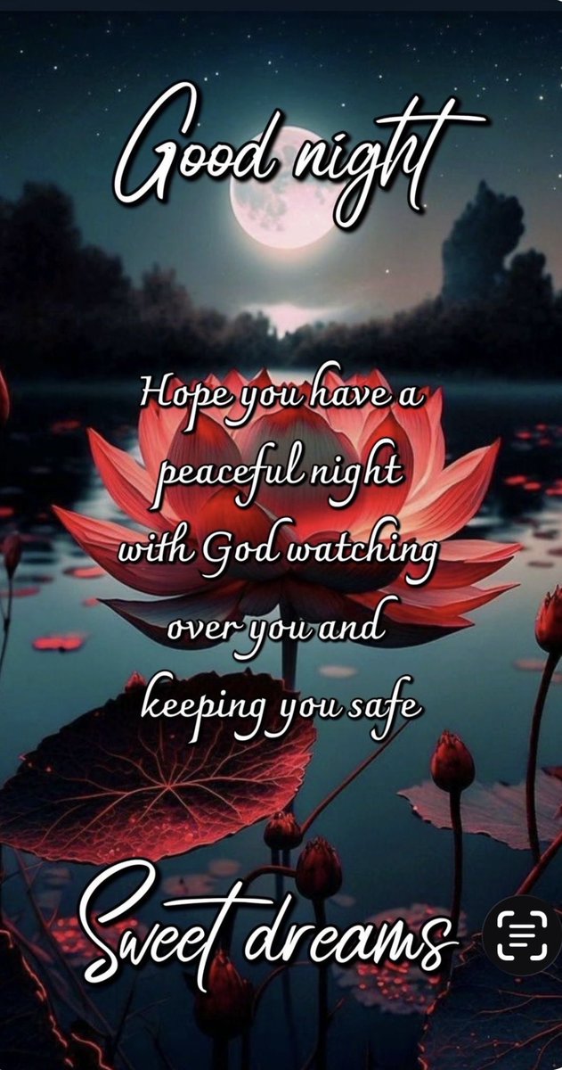 Diane Lynn tweet media