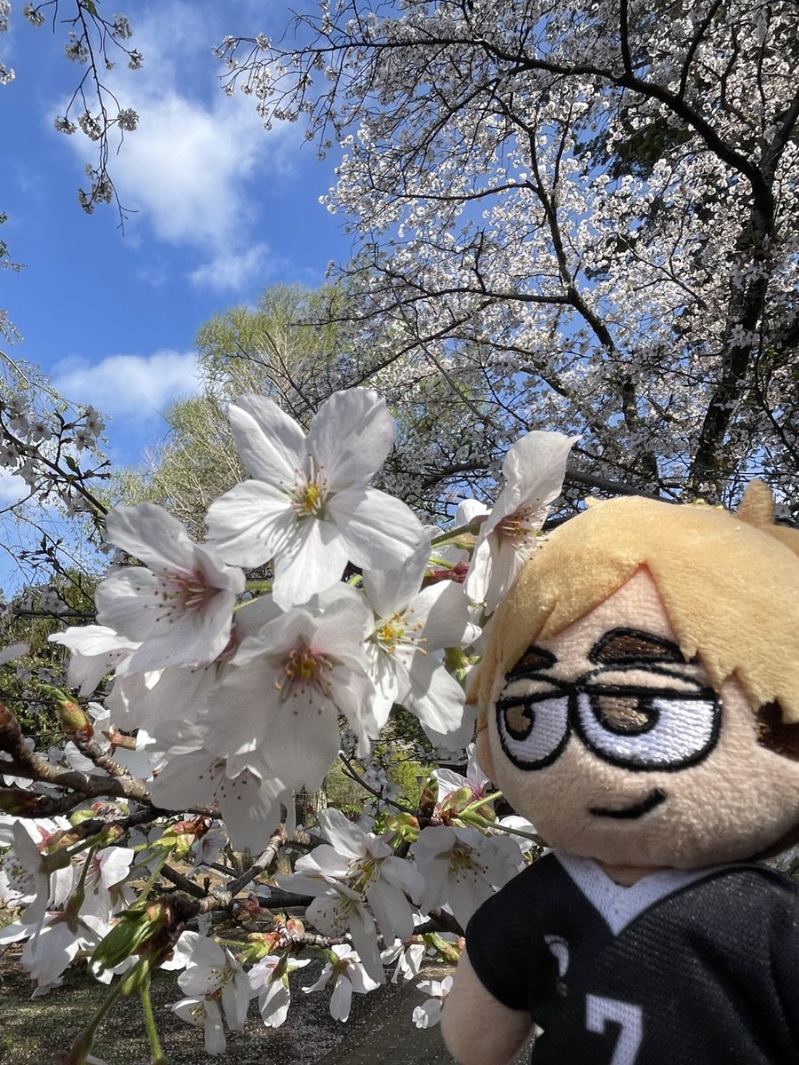 とき@4/4a! tweet media