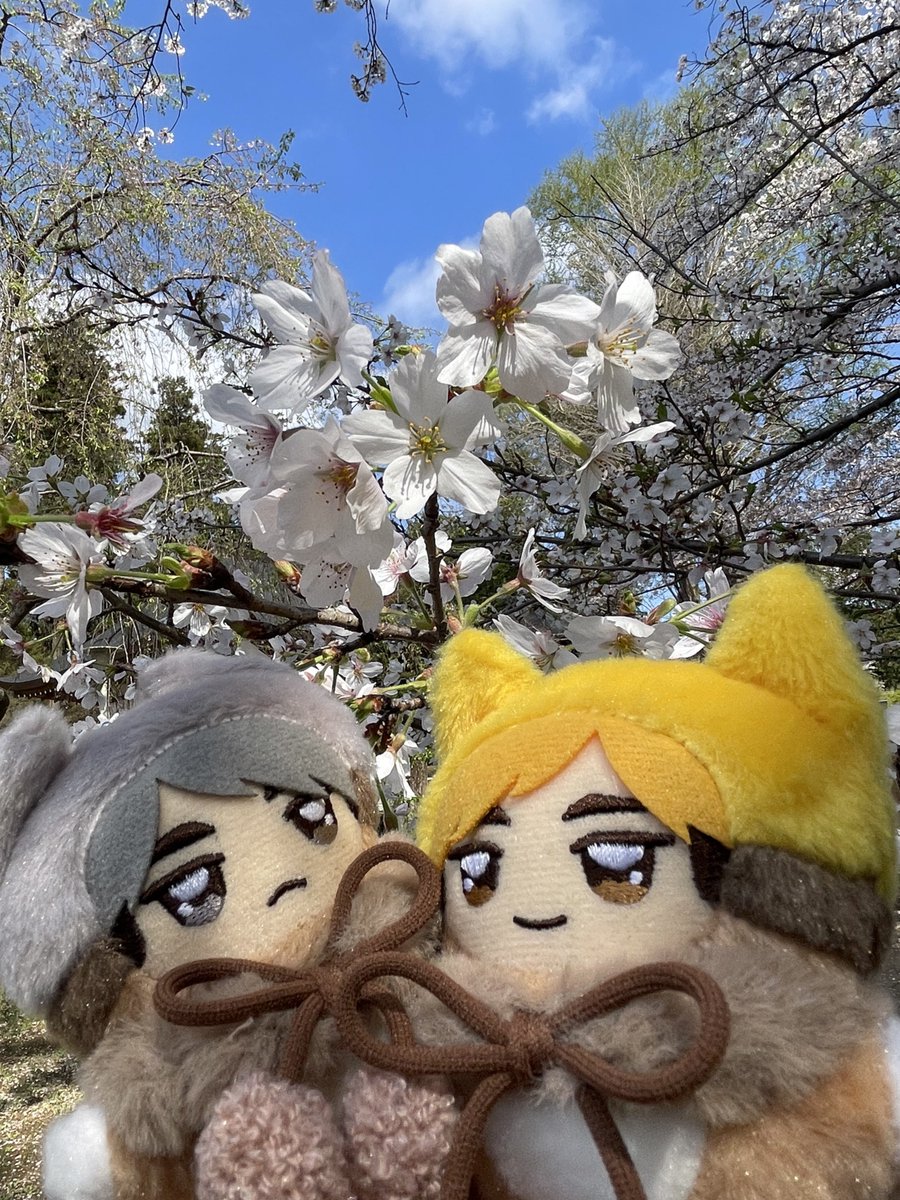 とき@4/4a! tweet media