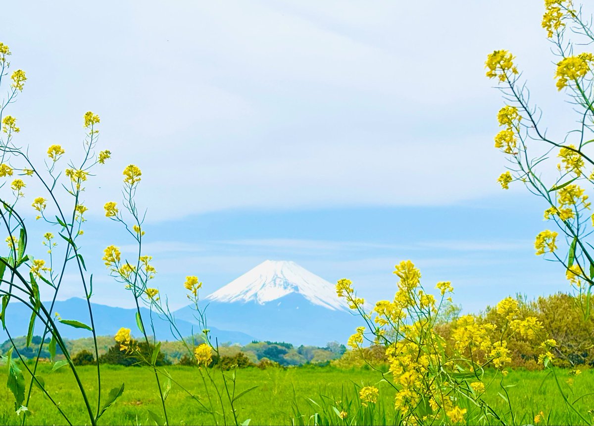 わかちゃ🐧🎁 tweet media