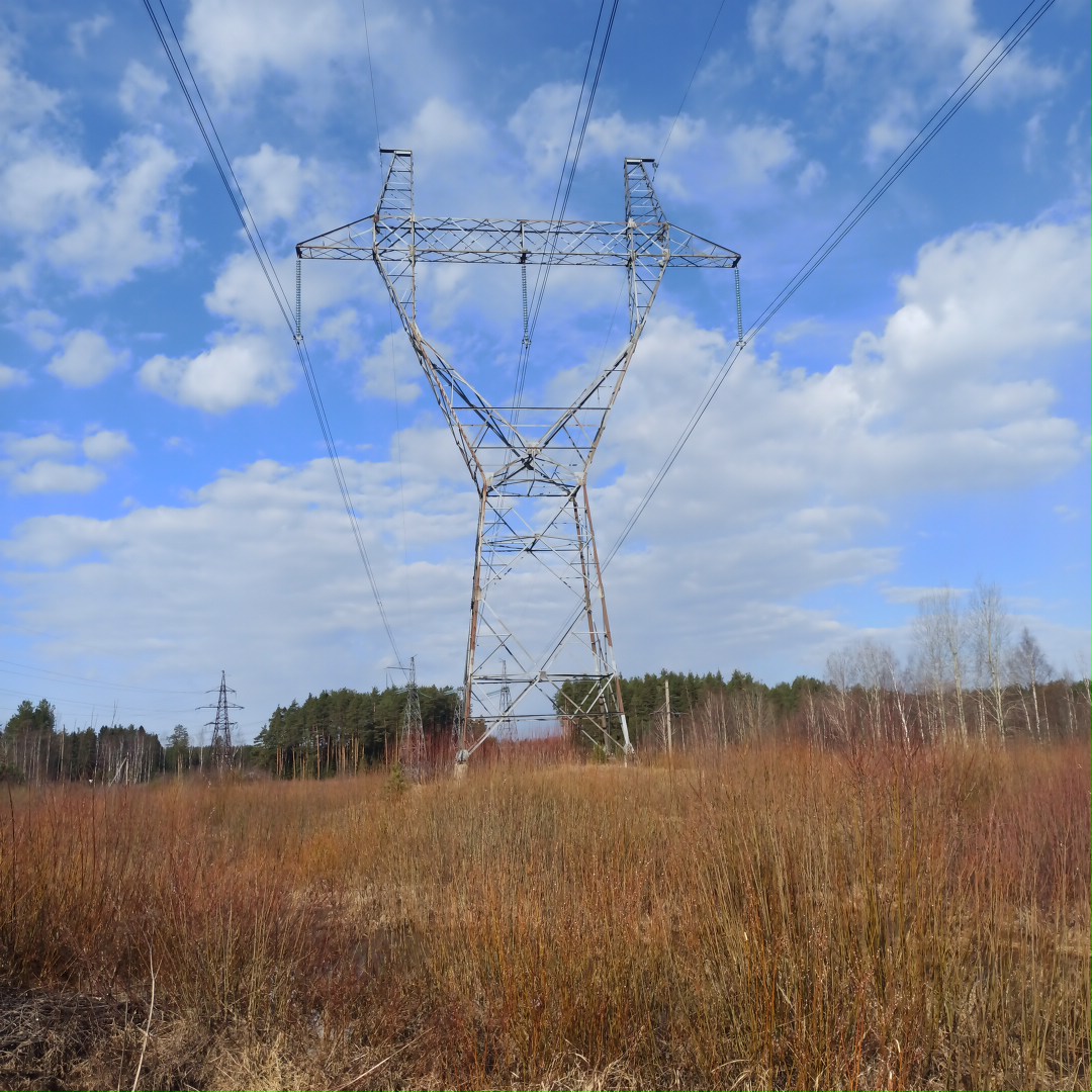 Обустроянец России tweet media