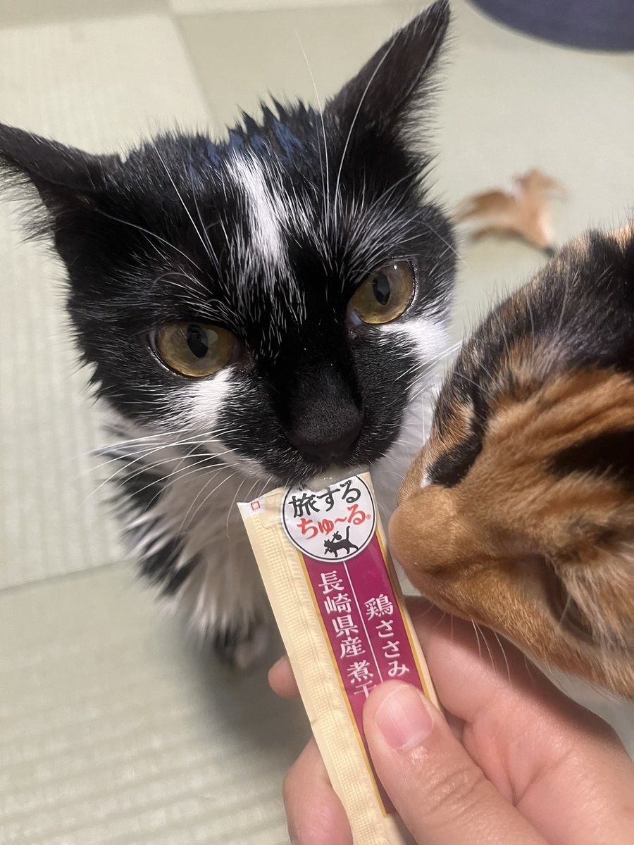 にぼし燻製器 tweet media