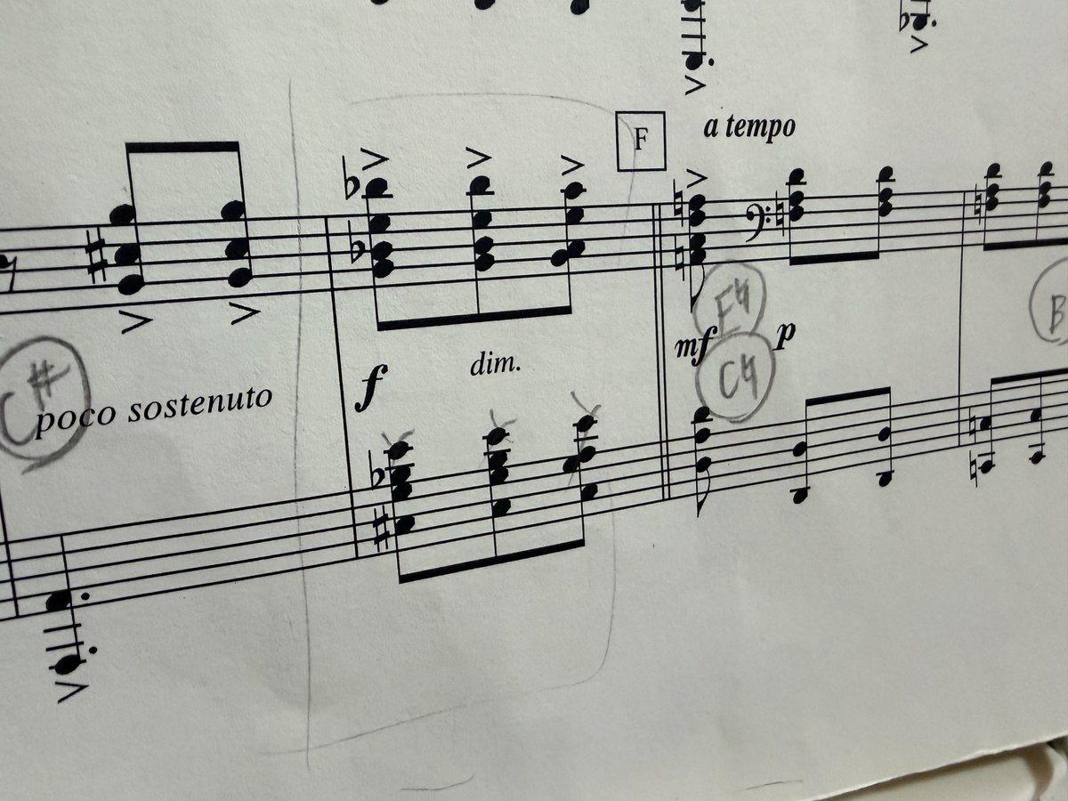 あかりこ tweet media