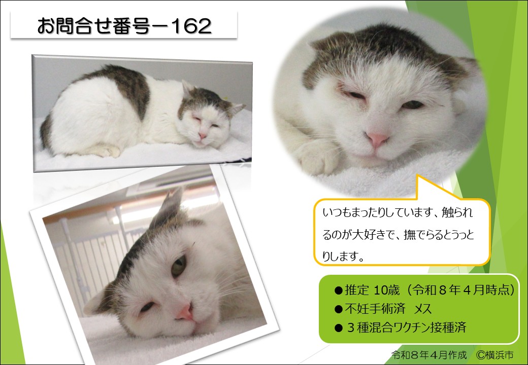 横浜市動物愛護センター tweet media