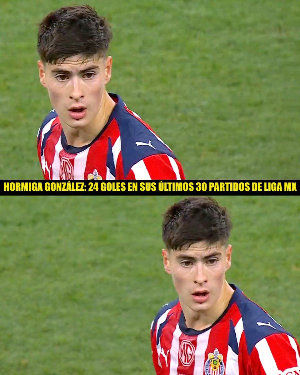 Invictos tweet media