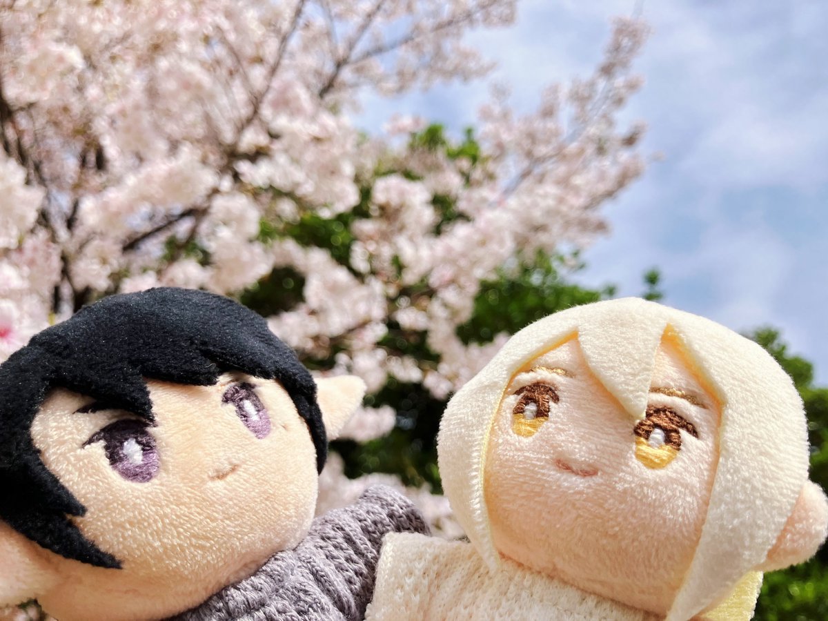 💯(  ᷇࿀ ᷆ ) tweet media