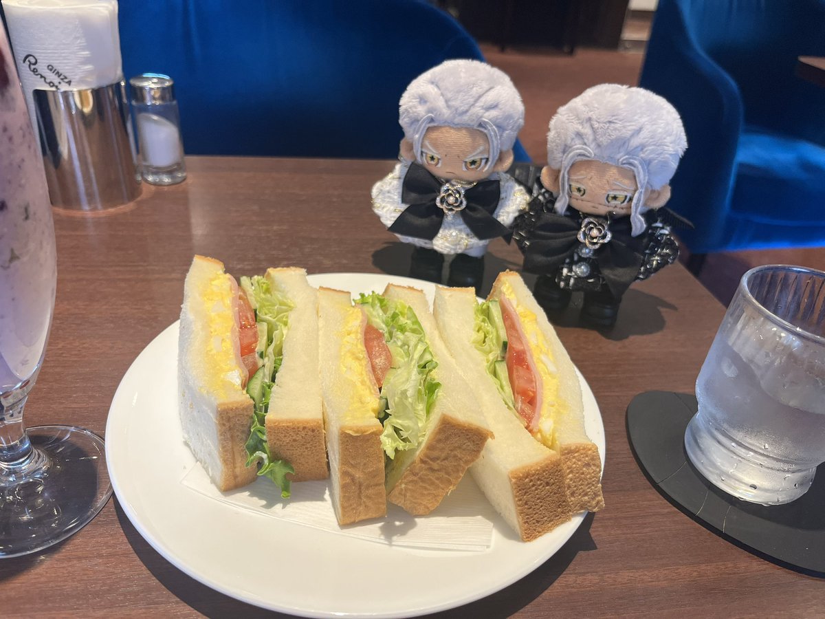 フィム達の新しいお洋服を買った
自立するようになった！かわいい〜