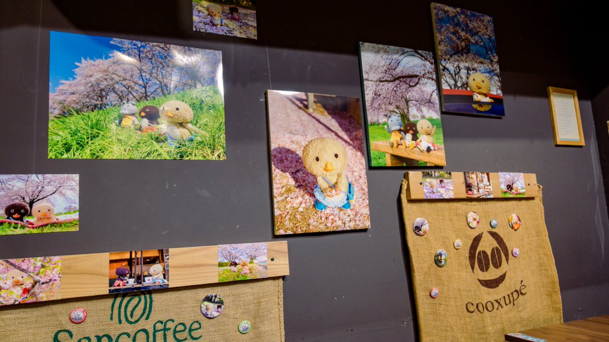 トガリちゃんねる tweet media