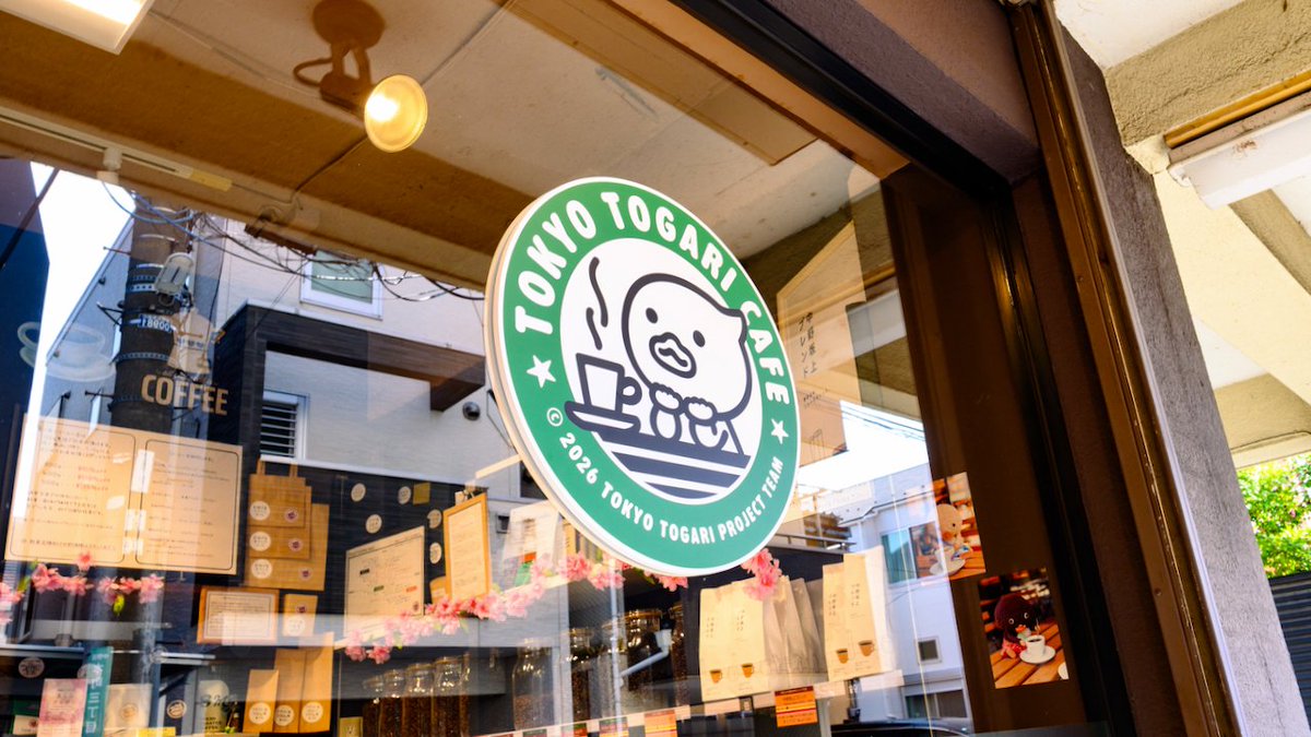 トガリちゃんねる tweet media