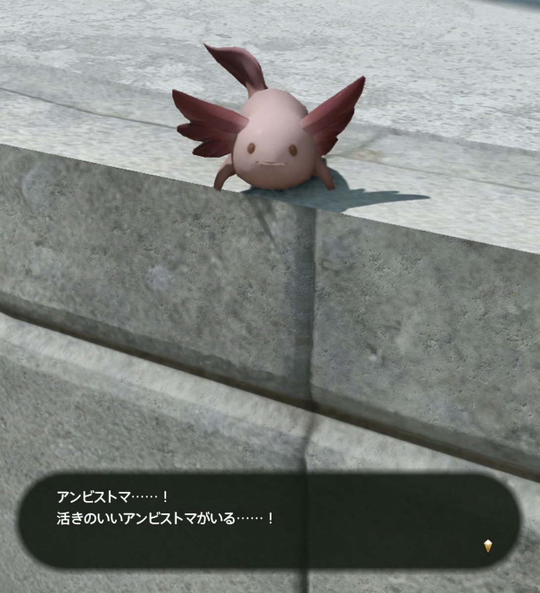 しぃ@整体ケアルラの中の人 tweet media