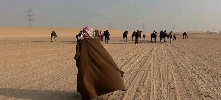 ᷂القنوف tweet media