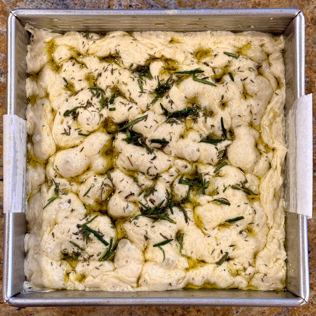 wizard girl tweet media