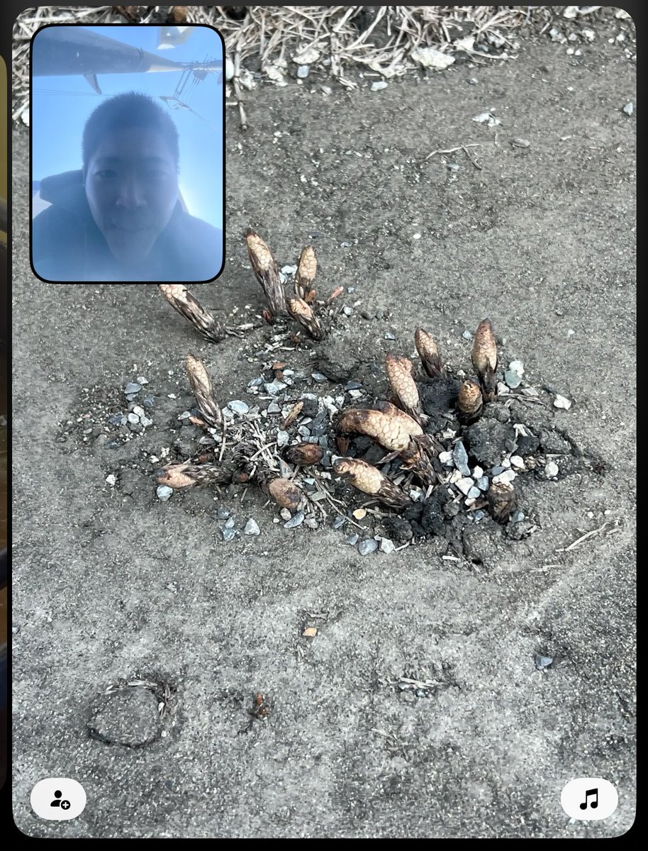 さ と り tweet media