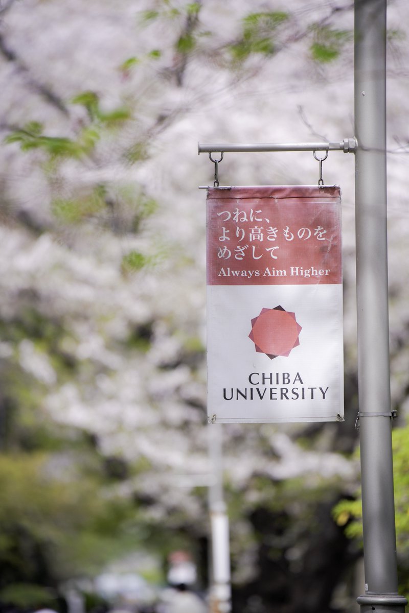 CUSSB's tweet photo. 千葉大学写真部は新入生を募集しております
カメラを高校まで持ったことのない先輩も多く所属しております！

本日サークルの日はライフセンター横にてビラ配りをしております
写真展も図書館一階にて行っておりますのでお立ち寄り下さい！
#cussb #サークルの日 #千葉大 #春から千葉大 https://t.co/7VsIAXAW58
