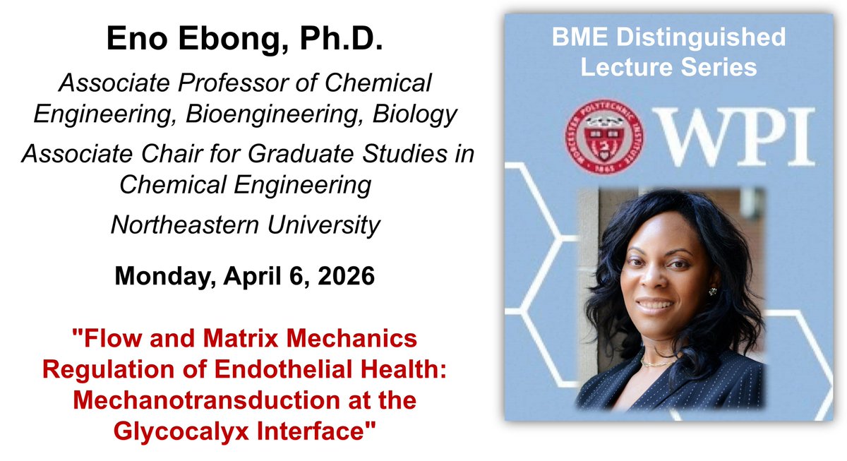 WPI Biomedical Engineering Department tweet media