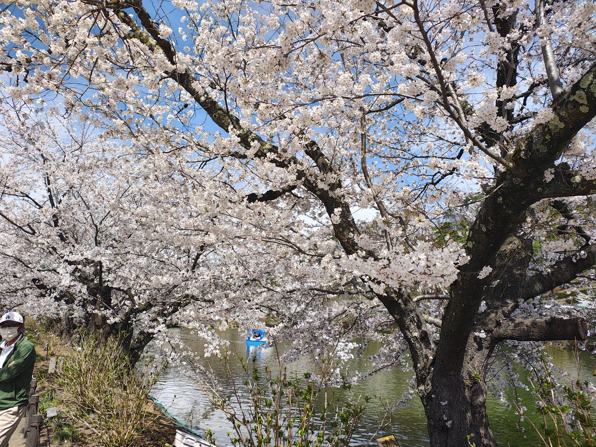 もげTHE玉太郎 tweet media