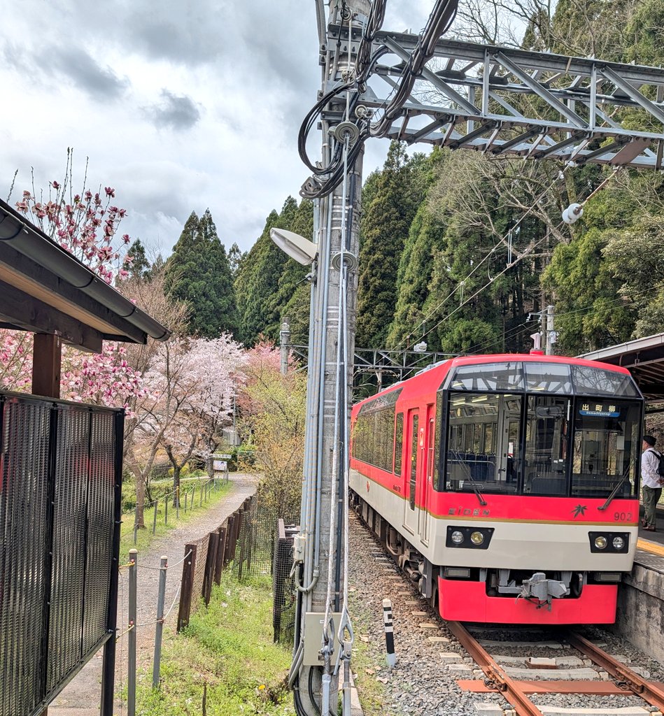 かいなってぃー tweet media