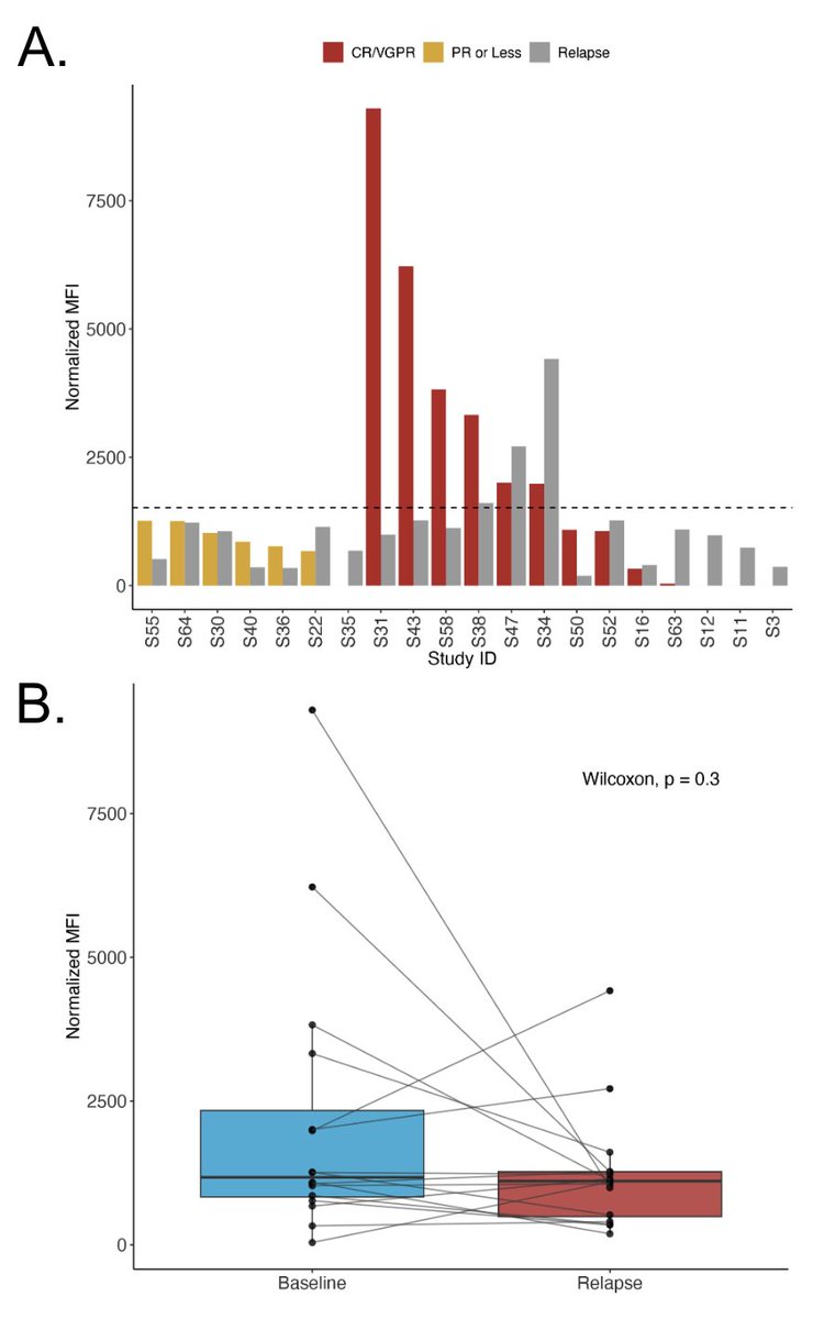 Robert Z. Orlowski tweet media