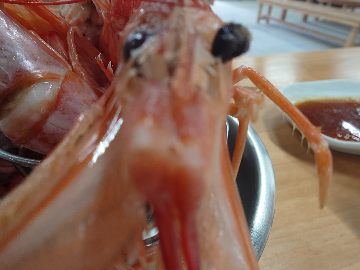 いなばん@NEXT tweet media