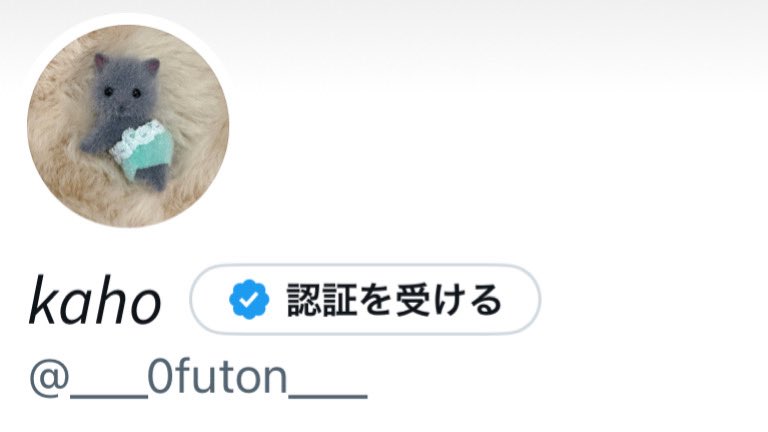 𝘬𝘢𝘩𝘰 tweet media