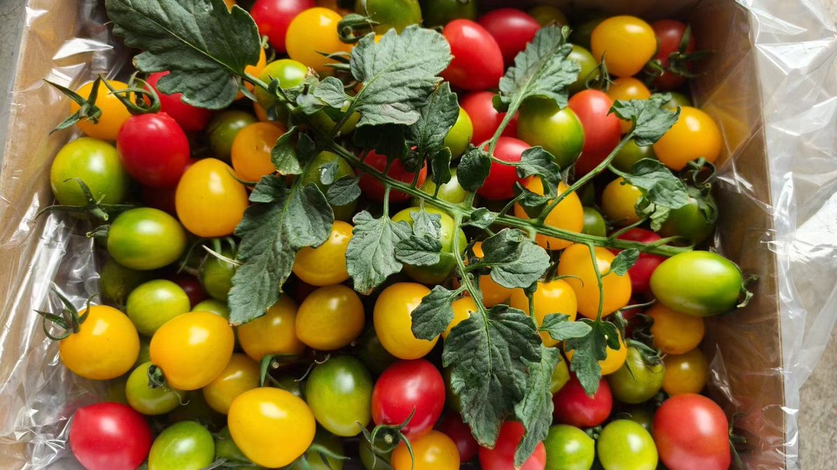 Ranjit Sardar tweet media