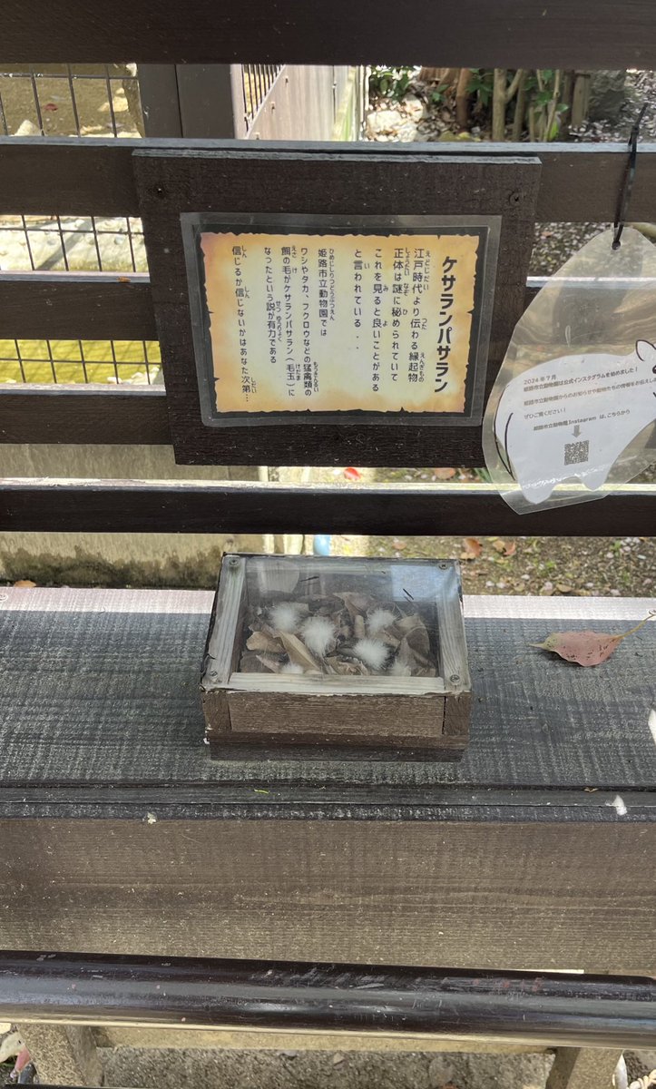 ゆに🎧 tweet media