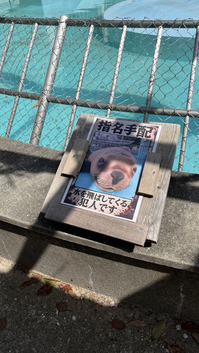 ゆに🎧 tweet media