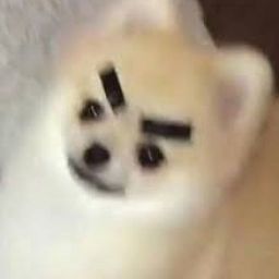 แอคไหร tweet media