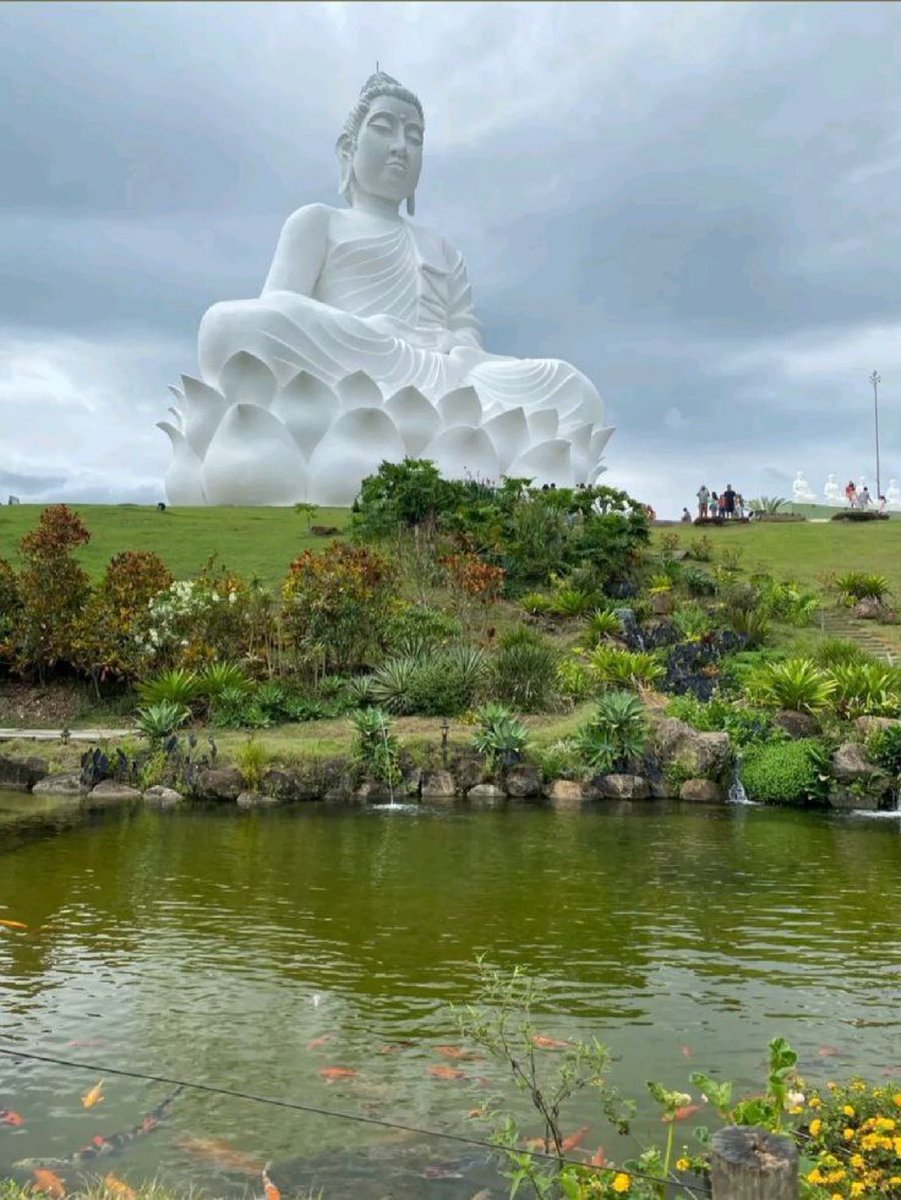 Thinley Wangyal tweet media