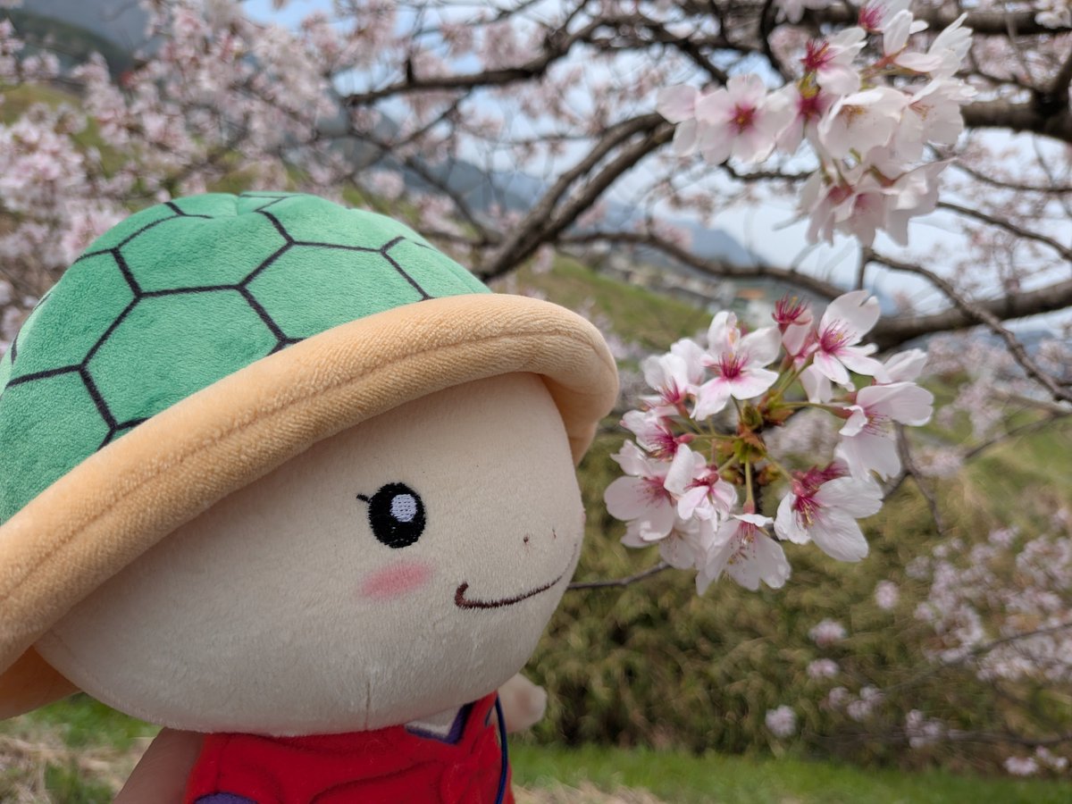 マイケル＠兵庫の彩羽真矢さんの大ファン🌱 tweet media