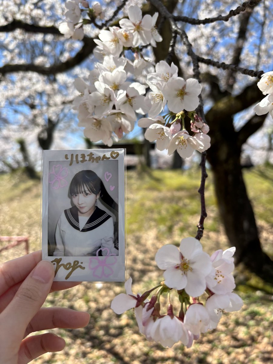 これもお気に入り