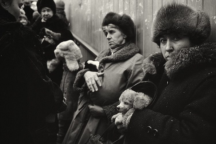 Hans Kemp tweet media