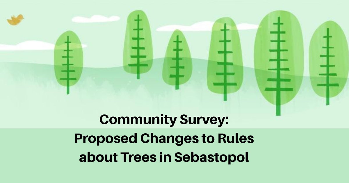 City of Sebastopol tweet media