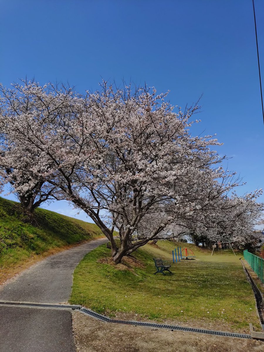 からあげのころも tweet media