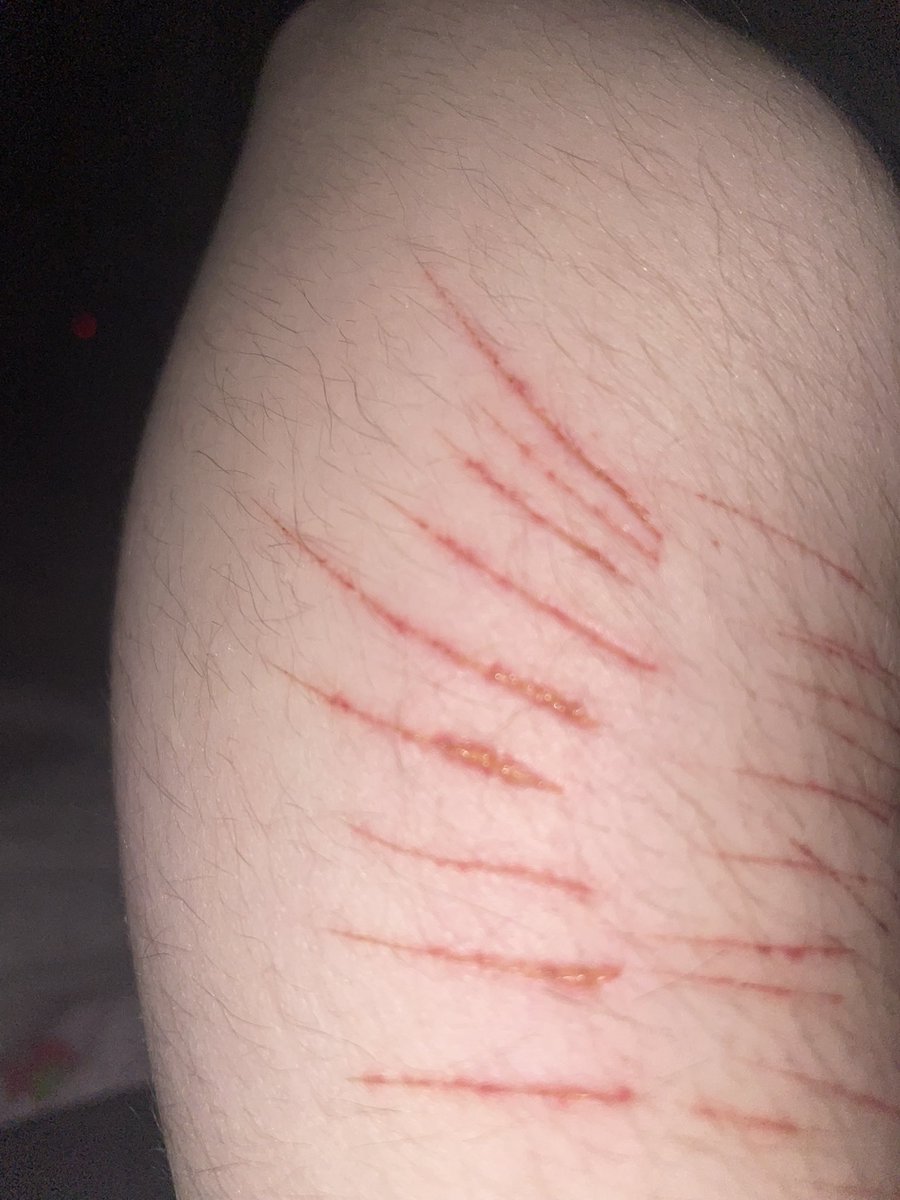 will✨ ed/drgtwt tweet media