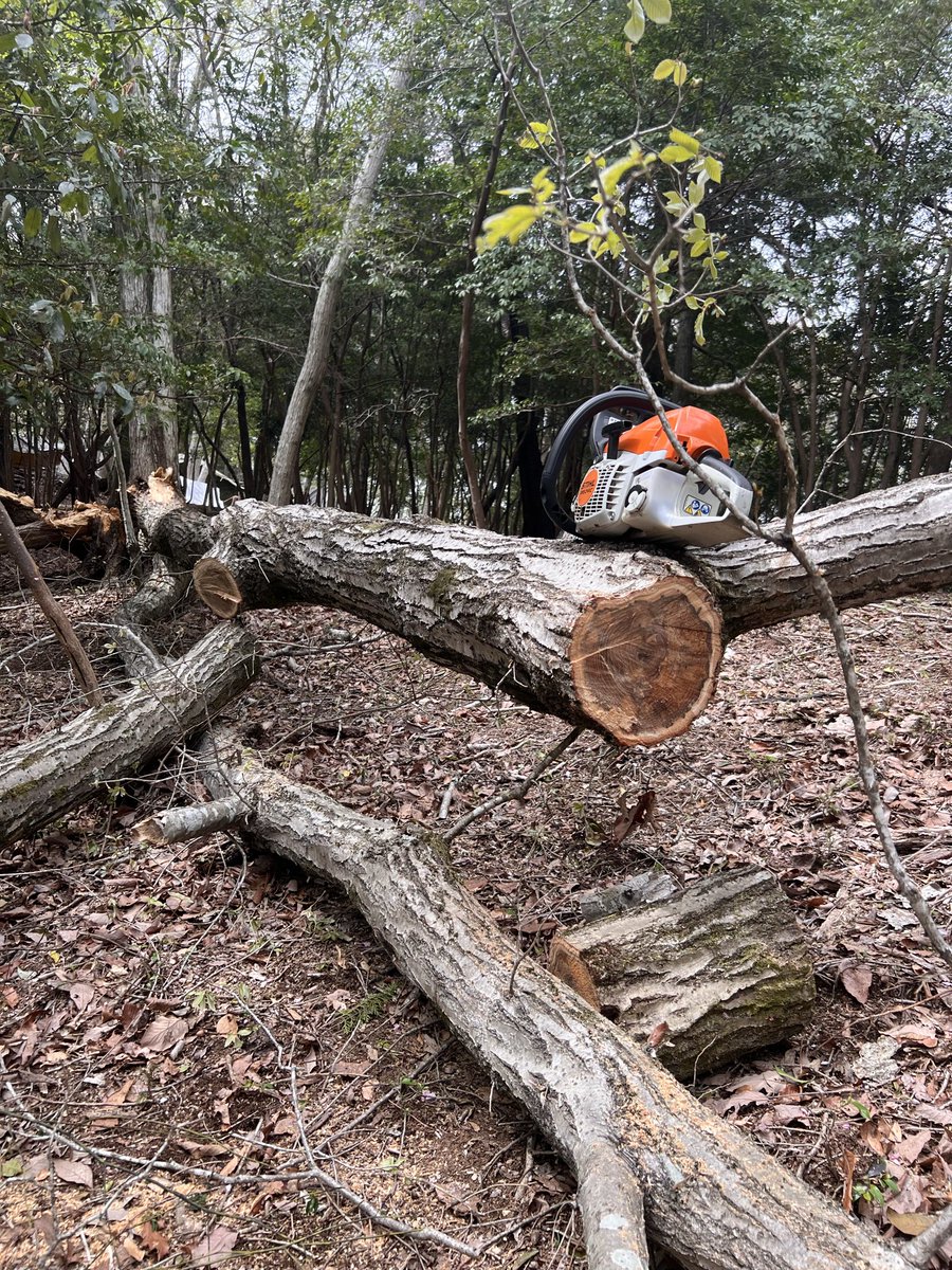 びーん tweet media